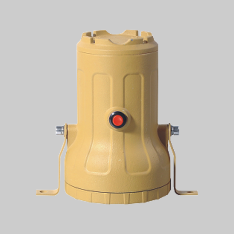 人民電器，人民電器集團(tuán)，人民電器集團(tuán)有限公司，中國(guó)人民電器，BAK-51-L防爆視孔燈(LED)