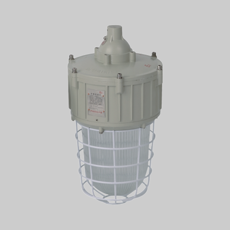 人民電器，人民電器集團(tuán)，人民電器集團(tuán)有限公司，中國(guó)人民電器，RDB82-G防爆燈(LED)