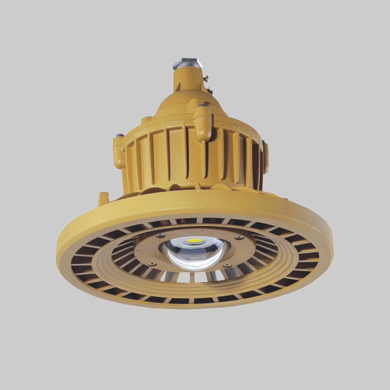 人民電器，人民電器集團(tuán)，人民電器集團(tuán)有限公司，中國(guó)人民電器，RDB98-8640防爆免維護(hù)節(jié)能燈(LED)