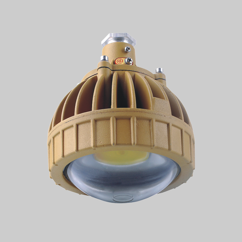 人民電器，人民電器集團(tuán)，人民電器集團(tuán)有限公司，中國(guó)人民電器，RDB98-8650防爆免維護(hù)節(jié)能燈(LED)