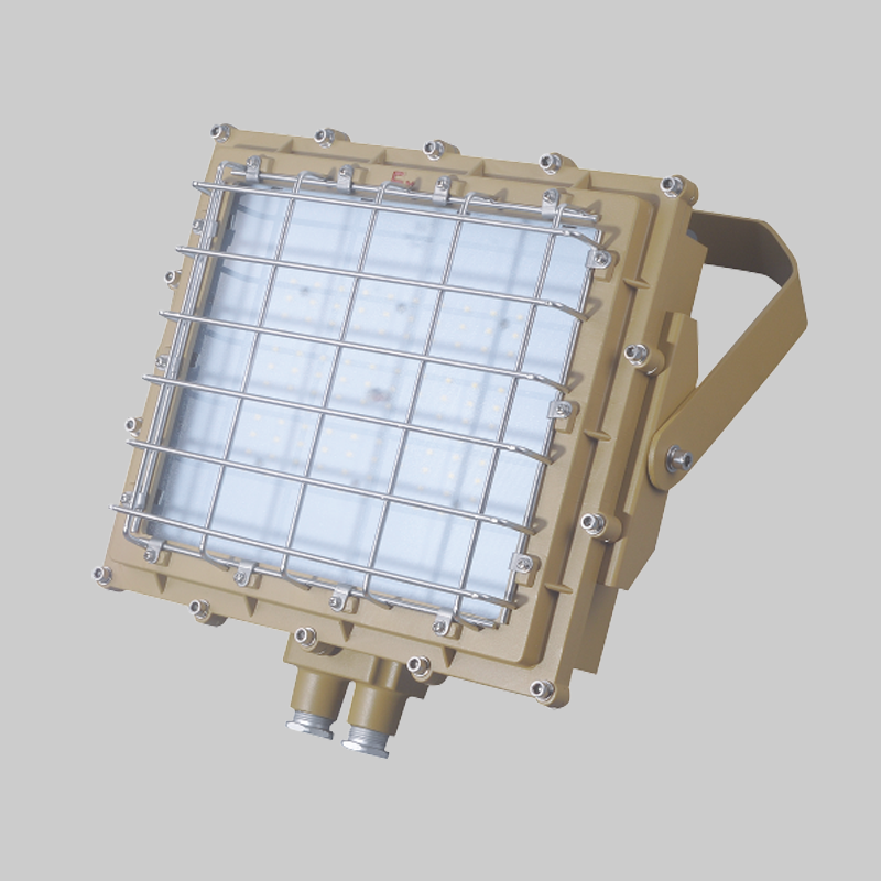 人民電器，人民電器集團(tuán)，人民電器集團(tuán)有限公司，中國(guó)人民電器，RDB98-8669防爆免維護(hù)投光燈/泛光燈(LED)