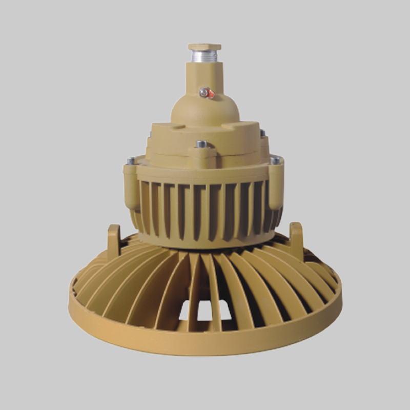 人民電器，人民電器集團(tuán)，人民電器集團(tuán)有限公司，中國(guó)人民電器，RDB98-M防爆免維護(hù)節(jié)能燈(LED)