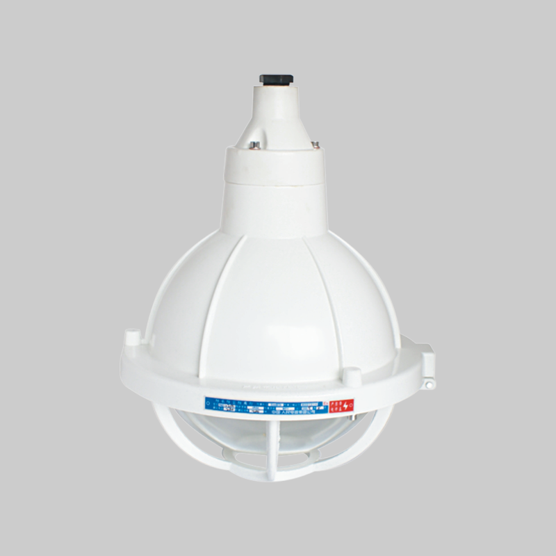 人民電器，人民電器集團(tuán)，人民電器集團(tuán)有限公司，中國(guó)人民電器，F(xiàn)AD-S系列防水防塵防腐燈