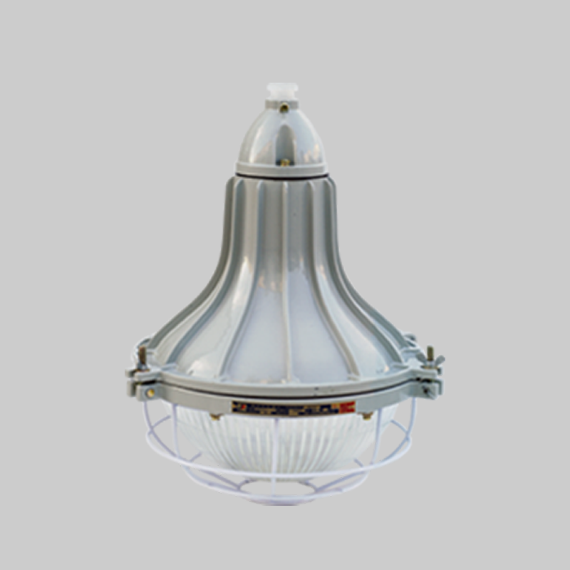 人民電器，人民電器集團(tuán)，人民電器集團(tuán)有限公司，中國人民電器，BAD54-DIP系列粉塵防爆燈(DIP)