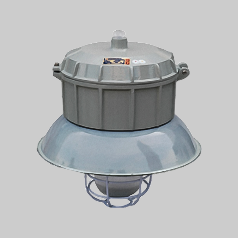 人民電器，人民電器集團(tuán)，人民電器集團(tuán)有限公司，中國人民電器，BAFD-DIP系列粉塵防爆防腐燈(DIP)