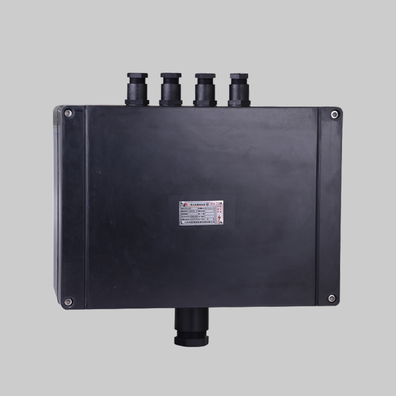 人民電器，人民電器集團(tuán)，人民電器集團(tuán)有限公司，中國人民電器，BXJ-DIP系列粉塵防爆接線箱(DIPA 20)