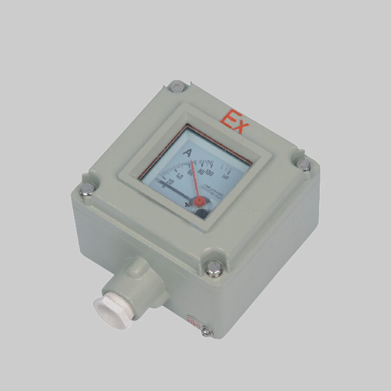 人民電器，人民電器集團(tuán)，人民電器集團(tuán)有限公司，中國(guó)人民電器，BYB8030系列防爆防腐儀表(e)