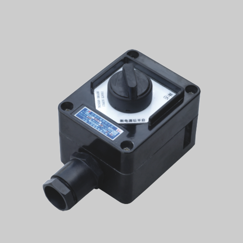 人民電器，人民電器集團(tuán)，人民電器集團(tuán)有限公司，中國(guó)人民電器，BZM8030系列防爆防腐照明開關(guān)(ⅡC)