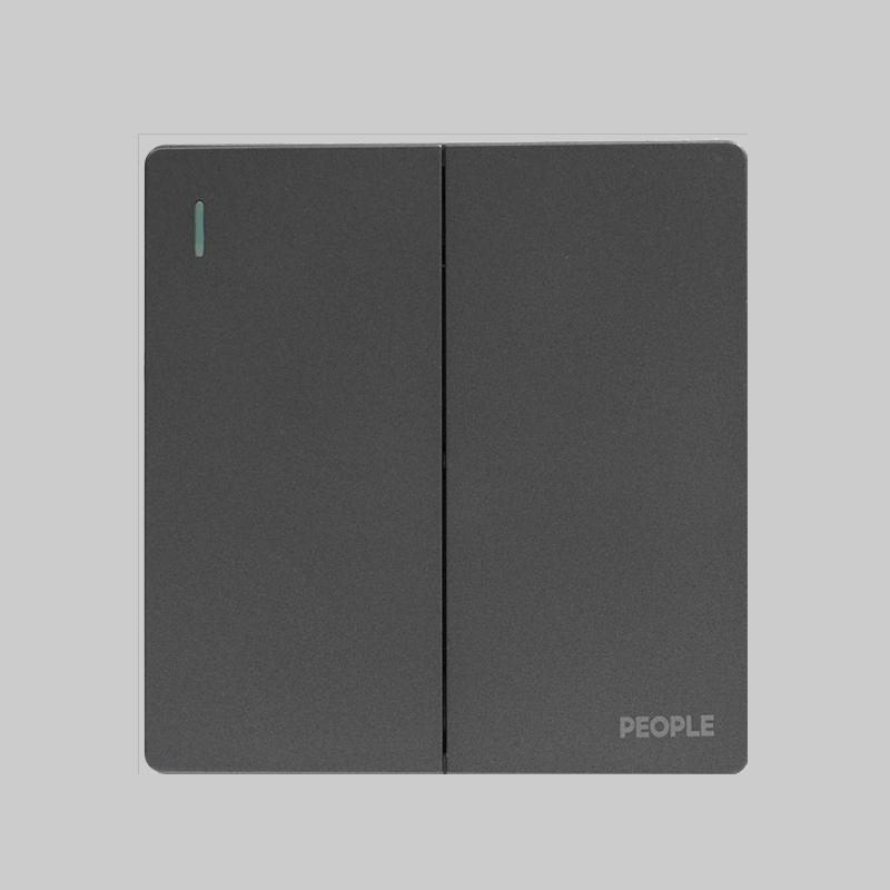 人民電器二聯(lián)開關(guān)(R86E5) 