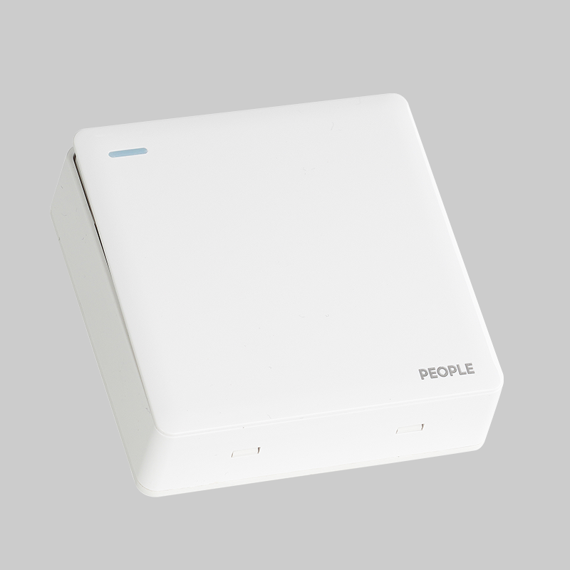 人民電器一聯(lián)開(kāi)關(guān)(RM6) 