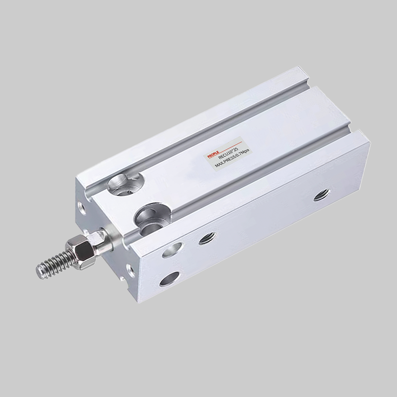 人民電器，人民電器集團(tuán)，人民電器集團(tuán)有限公司，中國(guó)人民電器，REC(D)U系列自由安裝氣缸