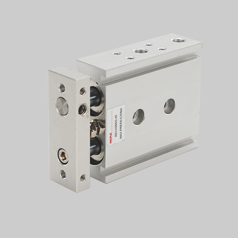 人民電器，人民電器集團(tuán)，人民電器集團(tuán)有限公司，中國人民電器，RECXS系列雙聯(lián)?缸/基本型