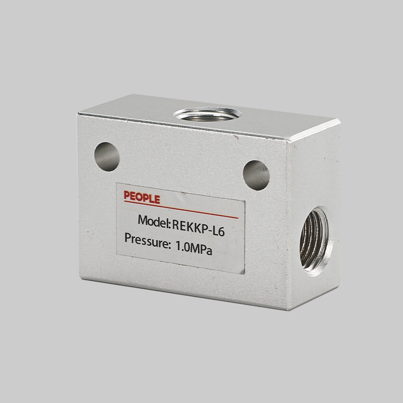 人民電器，人民電器集團，人民電器集團有限公司，中國人民電器，REKKP系列快速排氣閥