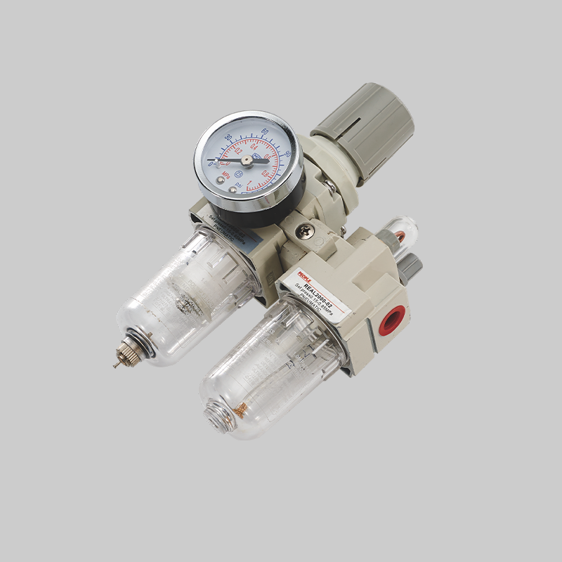 人民電器，人民電器集團(tuán)，人民電器集團(tuán)有限公司，中國人民電器，REAC系列二聯(lián)件(SMC型)