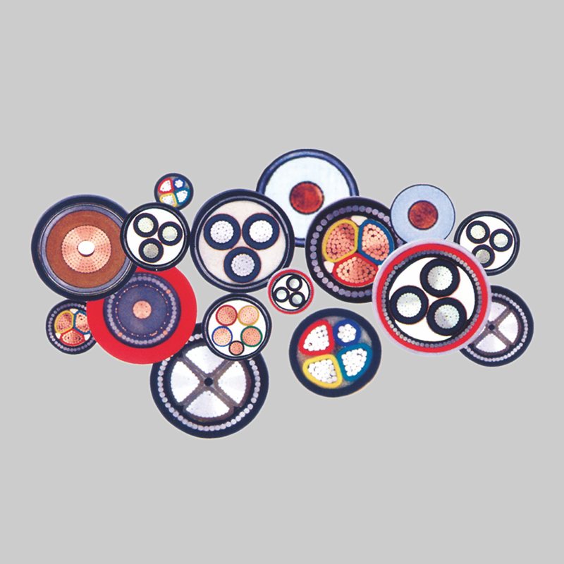 人民電器，人民電器集團，人民電器集團有限公司，中國人民電器，煤礦用銅芯塑料絕緣固定敷設電力電纜