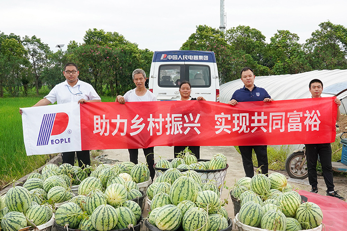 人民電器,人民電器集團,中國人民電器集團