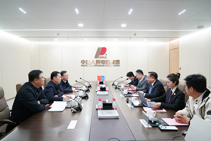 人民電器,人民電器集團,中國人民電器集團